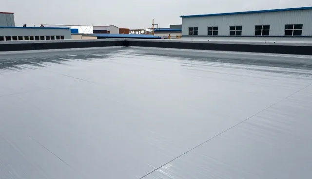 防水堵漏检查要点解析与维护建议